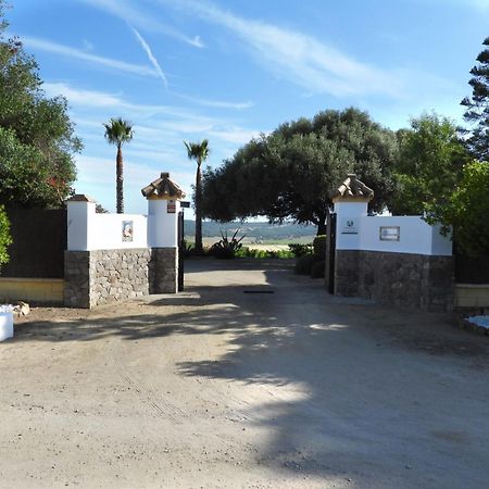 Vivienda Rural Los Madronos Malcocinado  エクステリア 写真
