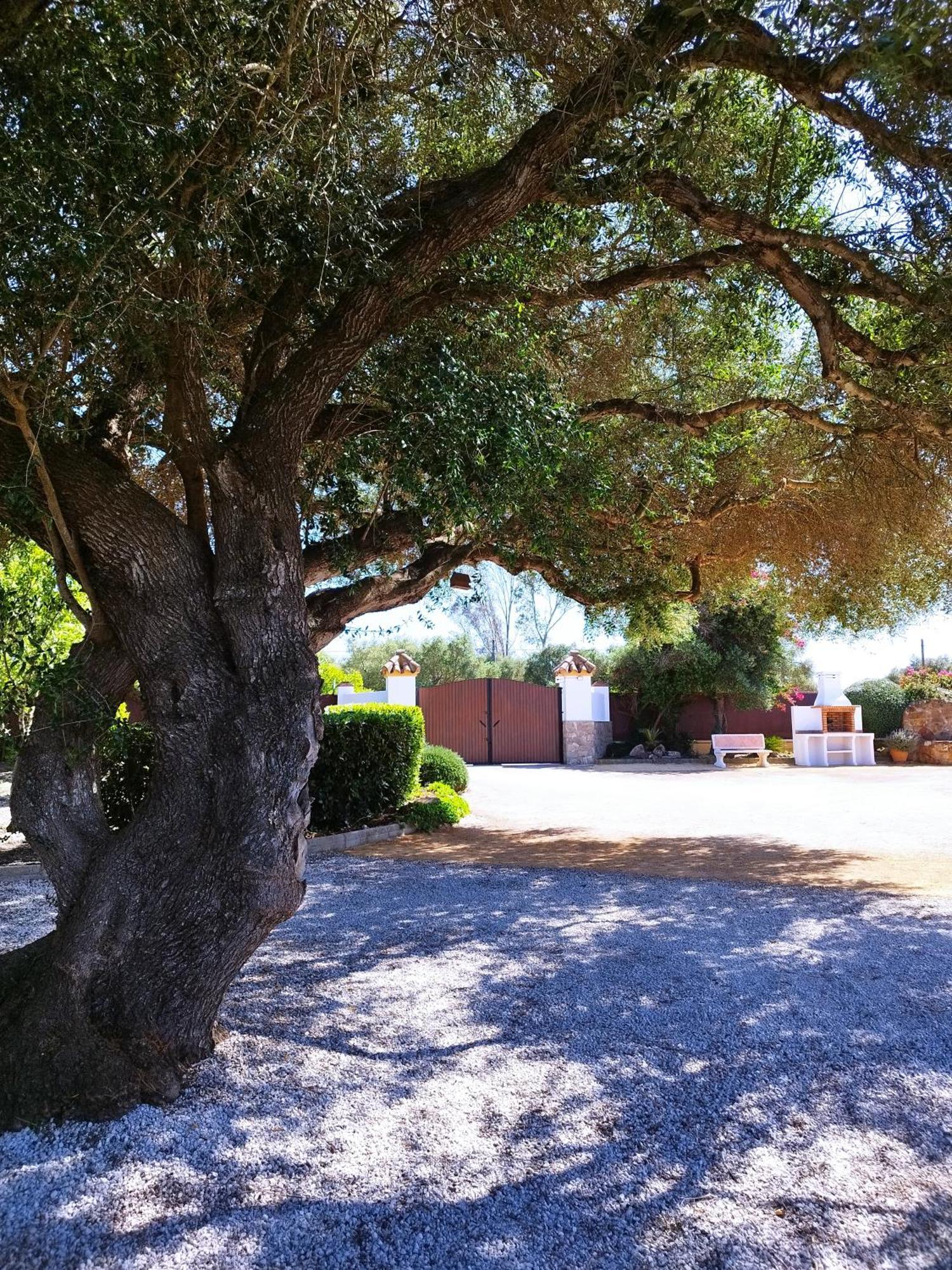 Vivienda Rural Los Madronos Malcocinado  エクステリア 写真