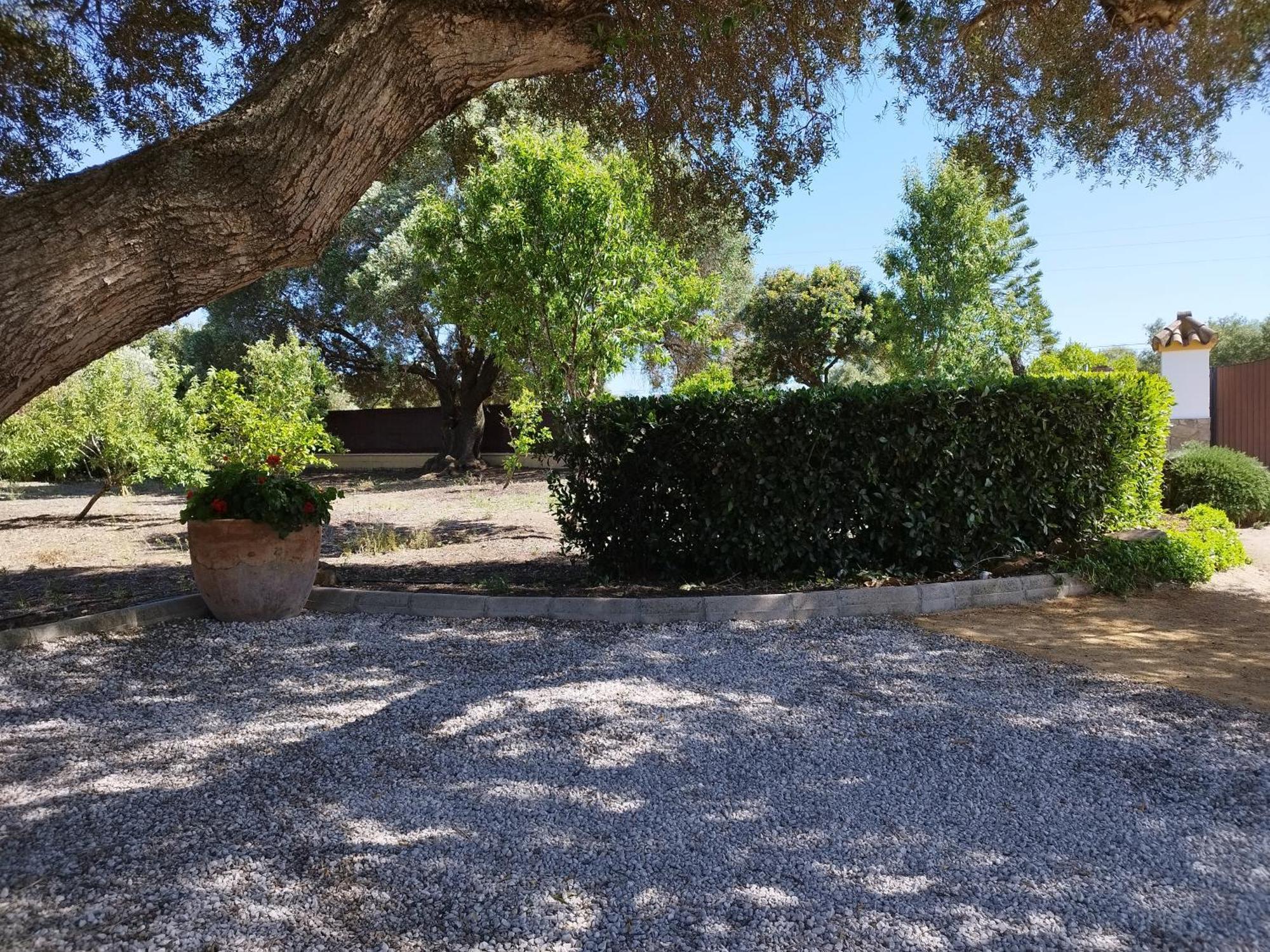 Vivienda Rural Los Madronos Malcocinado  エクステリア 写真